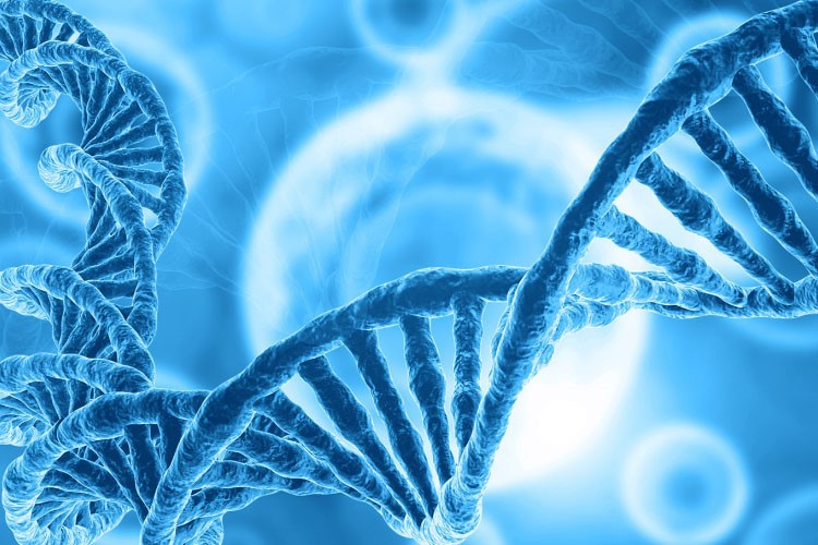 Spermidine Buy | Shaanxi BLOOM Tech Co., Ltd Spermidine Buy | Shaanxi BLOOM Tech Co., Ltd